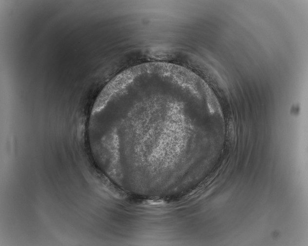 X0000097650271200803211903