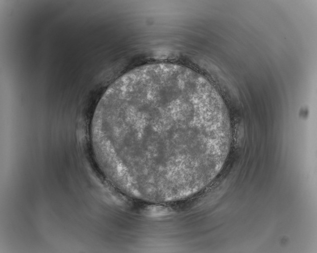 X0000097650272200803211903