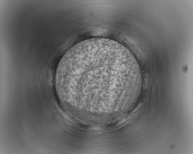 X0000097650273200803211903