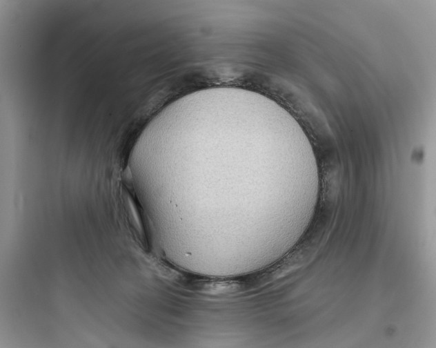 X0000097650274200803211903