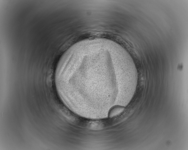 X0000097650275200803211903