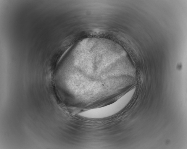 X0000097650276200803211903