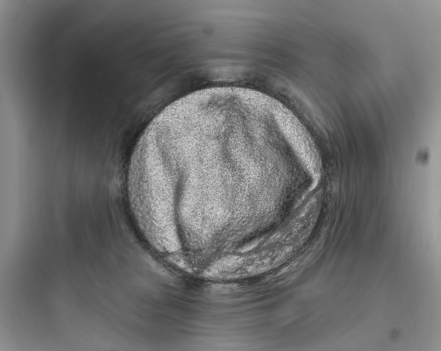 X0000097650277200803211903