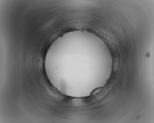 X0000097650279200803211903