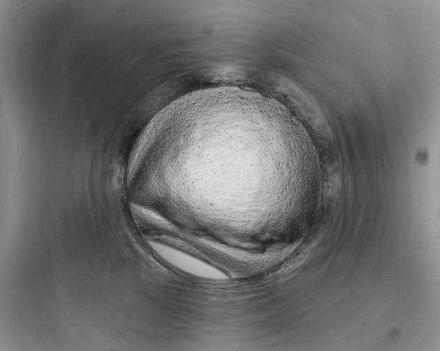 X0000097650281200803211903