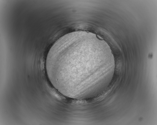 X0000097650282200803211903