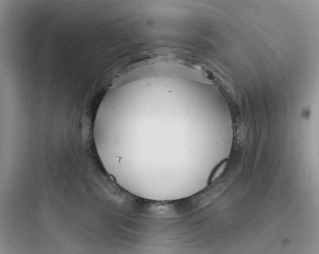 X0000097650283200803211903