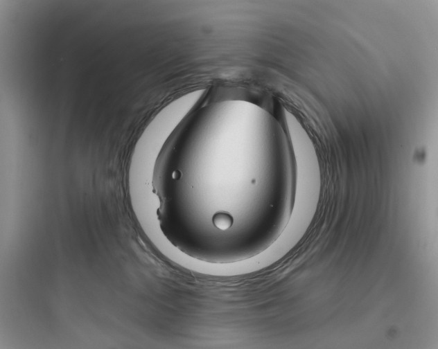 X0000097650284200803211903