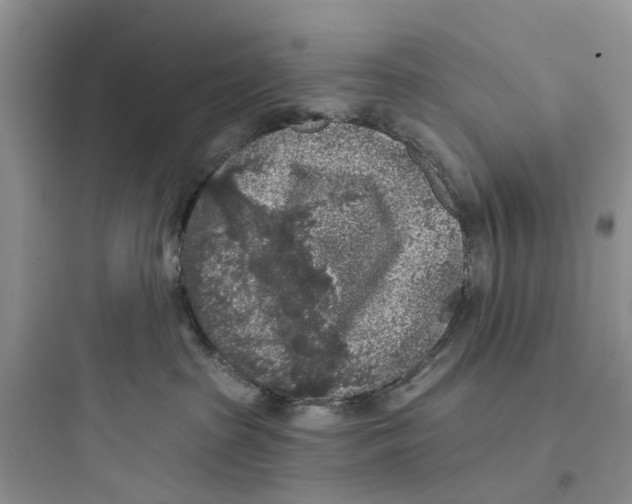 X0000097650285200803211903