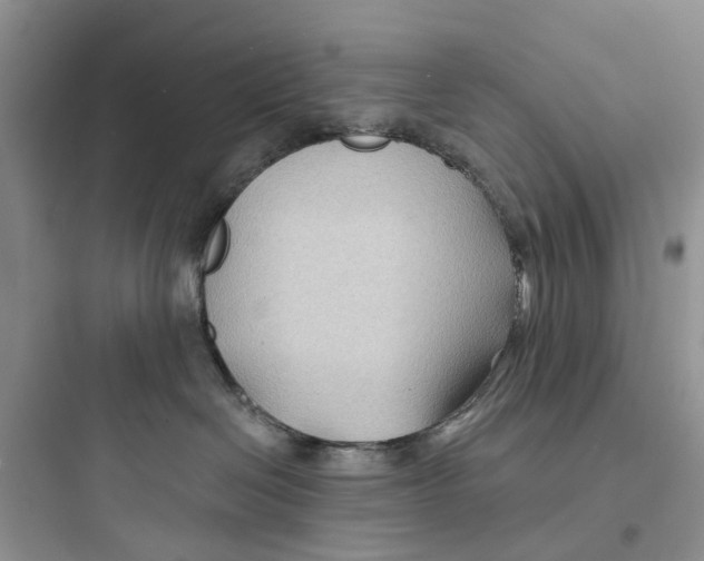 X0000097650286200803211903