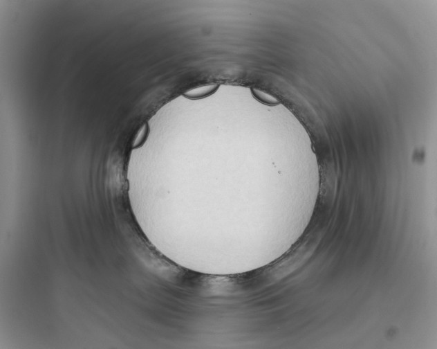 X0000097650287200803211903