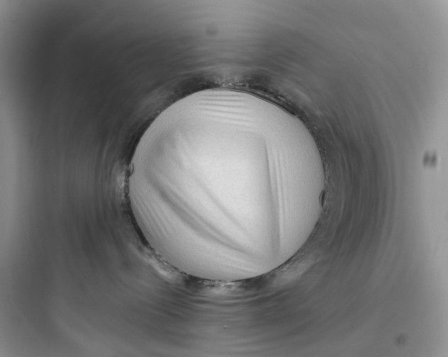 X0000097650288200803211903