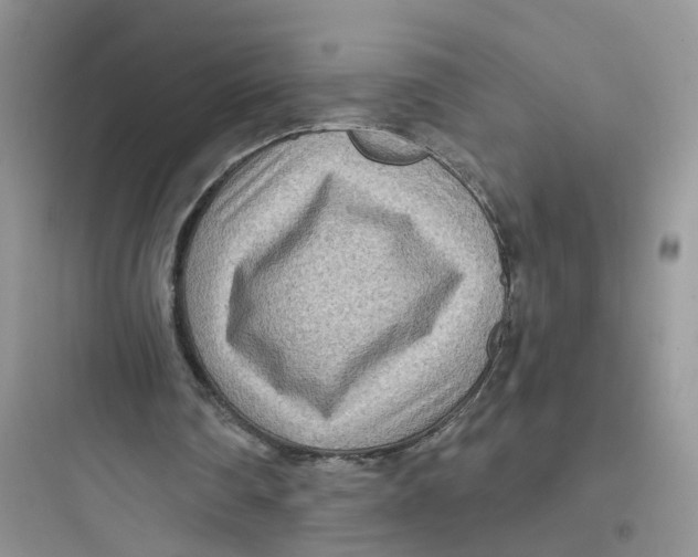 X0000097650290200803211902