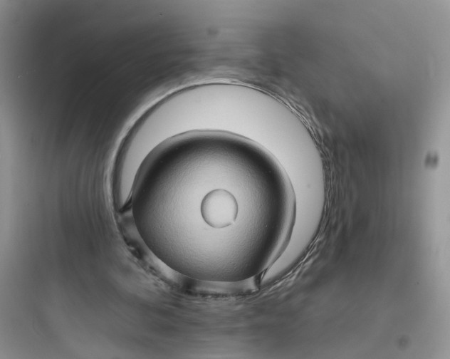 X0000097650292200803211902