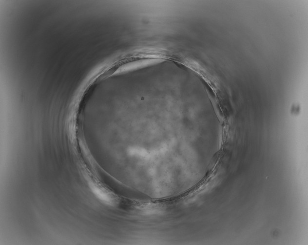 X0000097650293200803211902