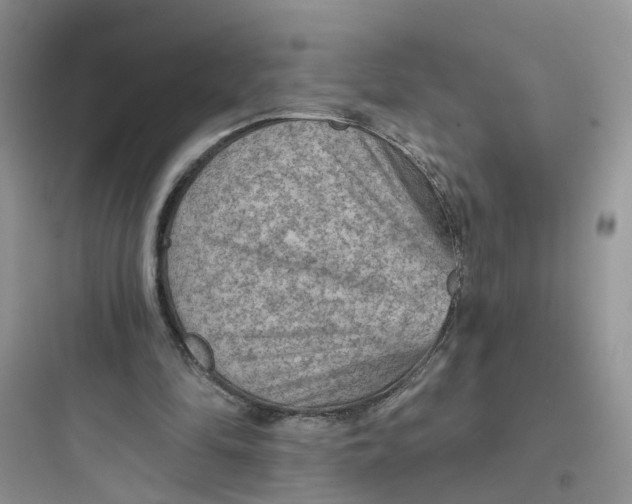 X0000097650294200803211902