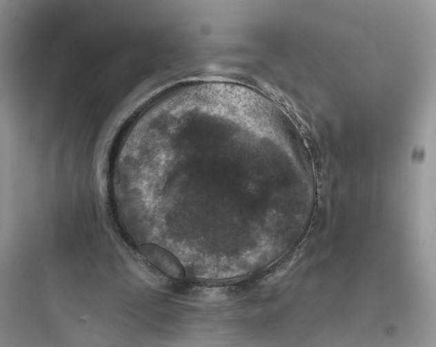 X0000097650295200803211902