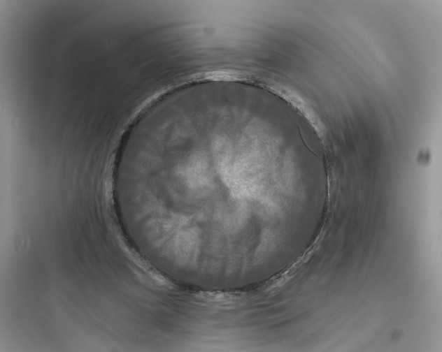 X0000097650297200803211902