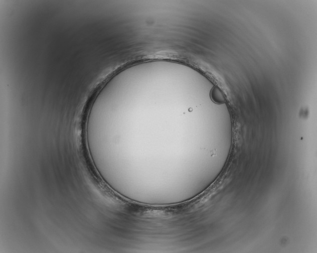 X0000097650298200803211902