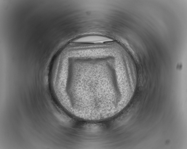 X0000097650299200803211902