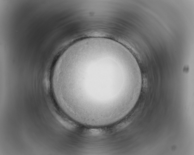 X0000097650302200803211902