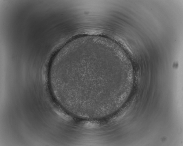 X0000097650303200803211902