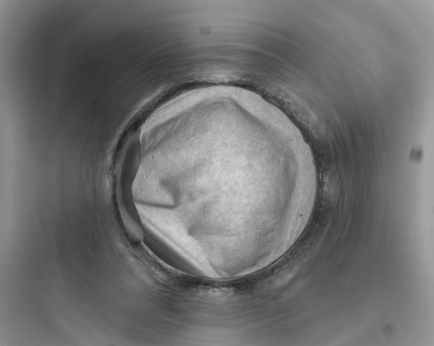 X0000097650304200803211902