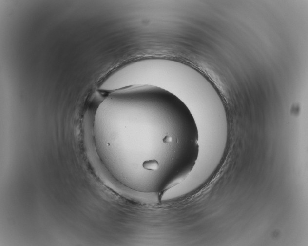 X0000097650305200803211902