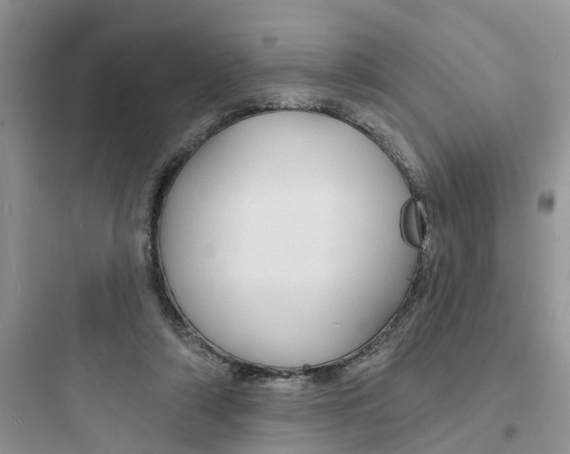 X0000097650306200803211902