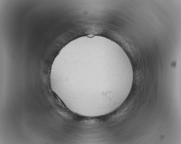 X0000097650307200803211902