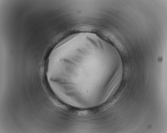 X0000097650309200803211902