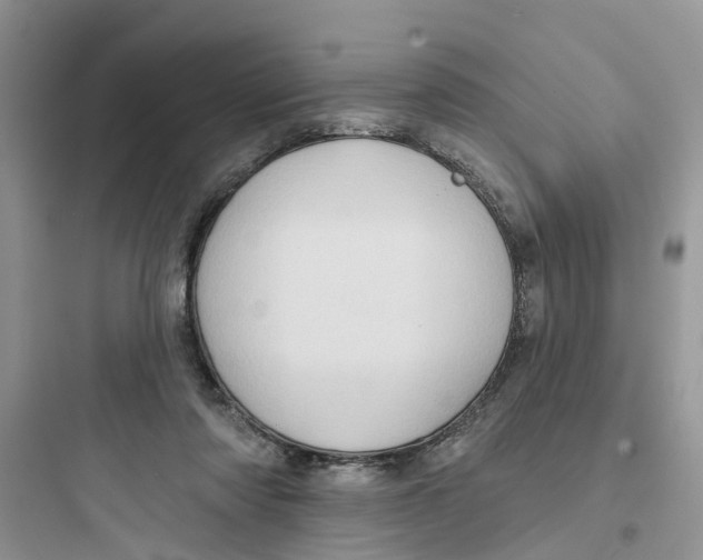 X0000097650310200803211902