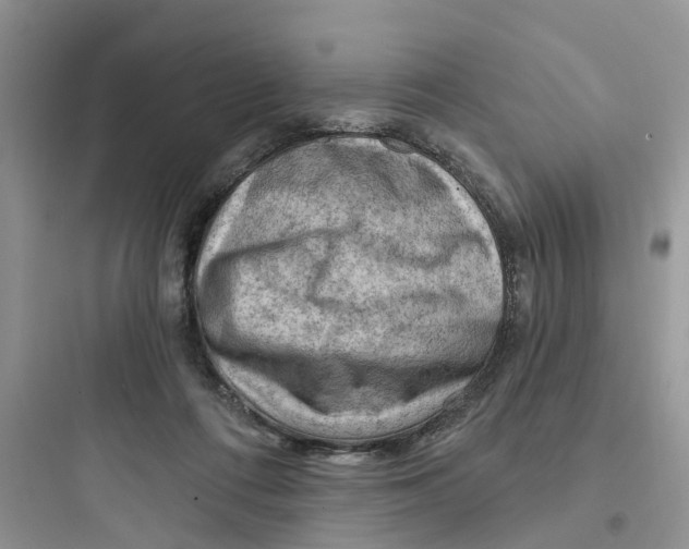 X0000097650312200803211902