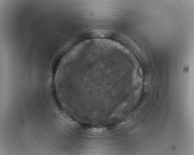 X0000097650314200803211902