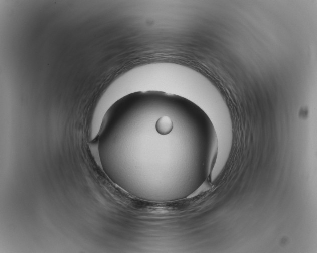 X0000097650316200803211902