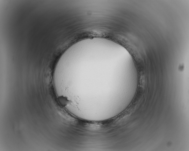 X0000097650318200803211902