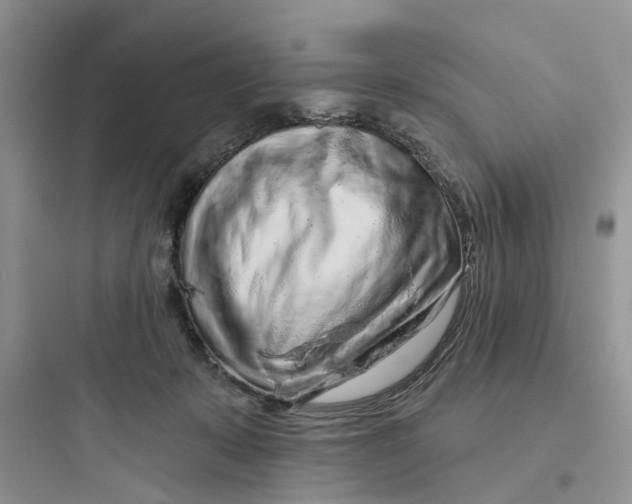 X0000097650319200803211902