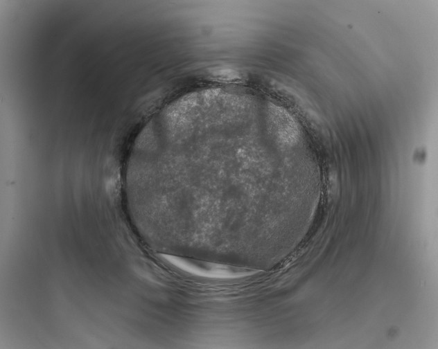 X0000097650320200803211902