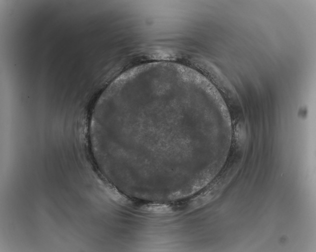 X0000097650322200803211902