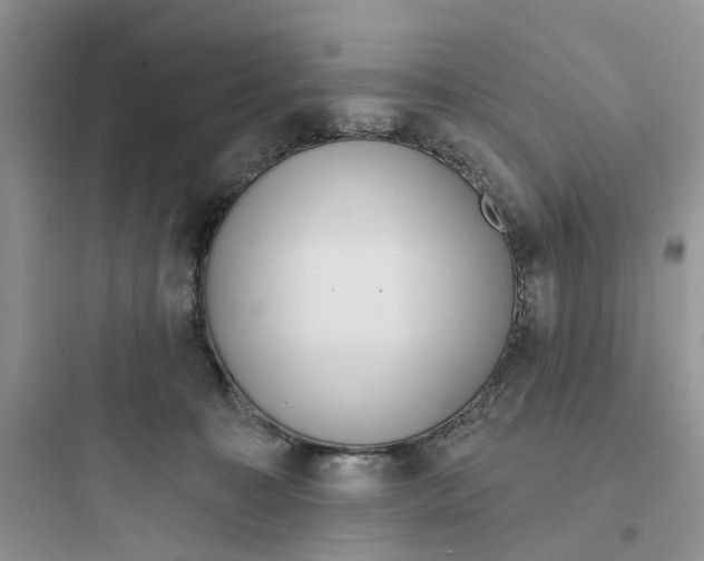 X0000097650323200803211902