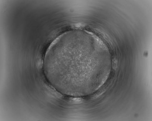 X0000097650324200803211902