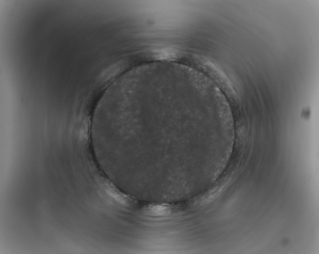 X0000097650325200803211902