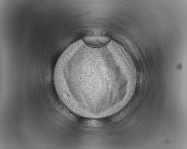 X0000097650326200803211902