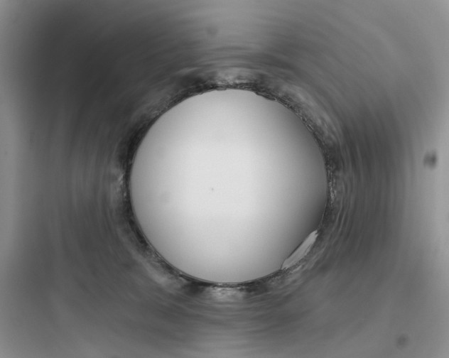 X0000097650327200803211902