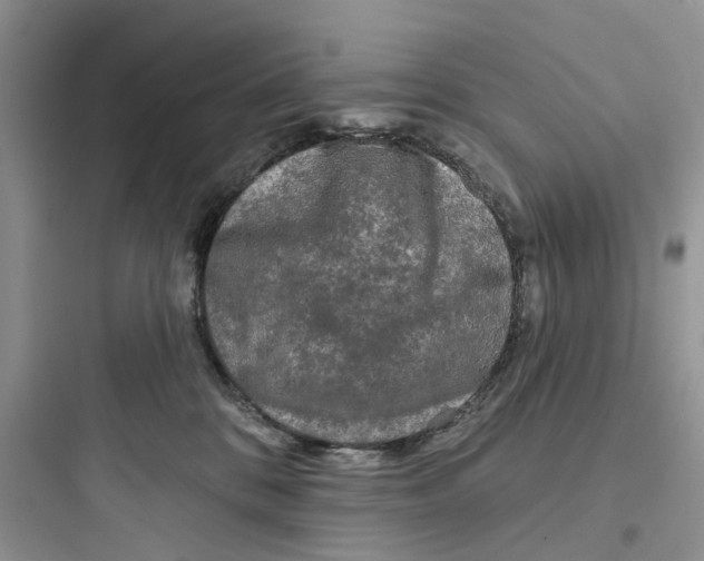 X0000097650328200803211902