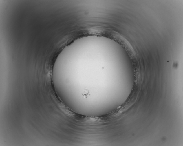 X0000097650329200803211902