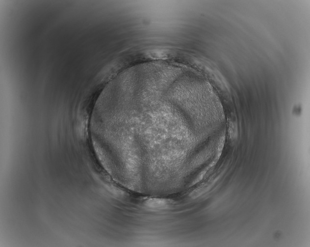 X0000097650332200803211901