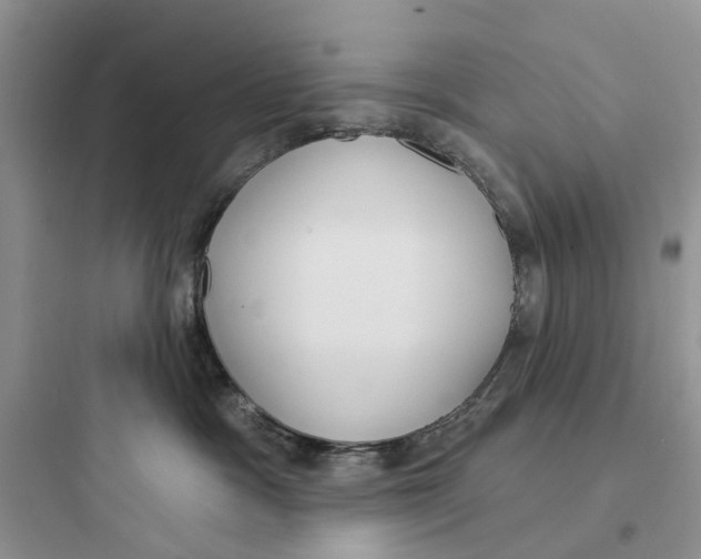 X0000097650333200803211901