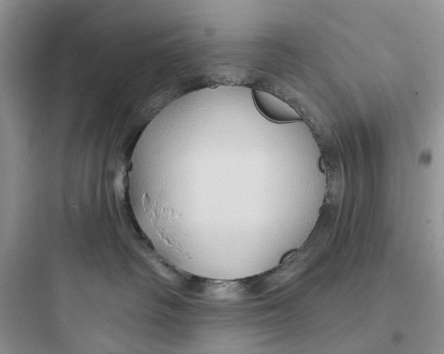 X0000097650334200803211901