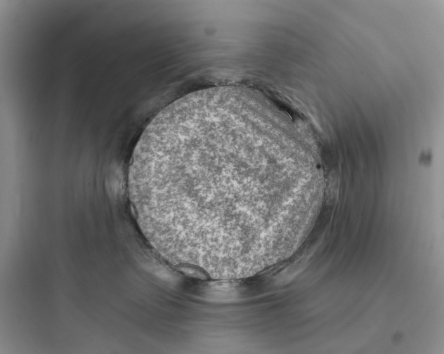 X0000097650335200803211901